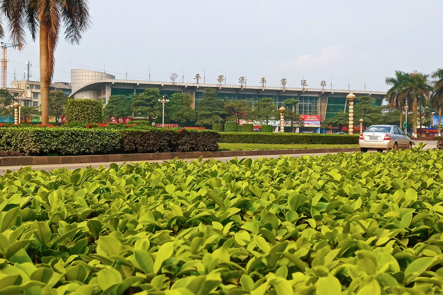 百色至田阳快班、普班今年起逐渐淡出，将开通日常公交车、公交线。 - 靖西市·靖西网