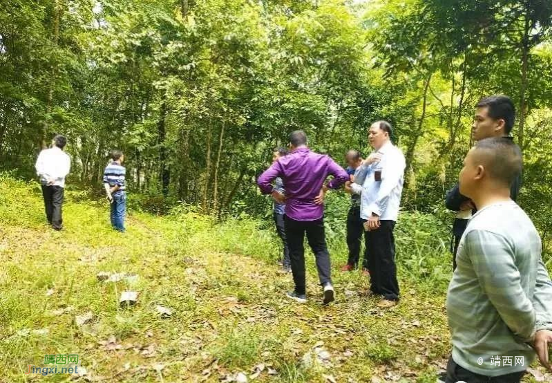 靖西法院：民众纠纷无小事，实地调查促和谐 - 靖西市·靖西网