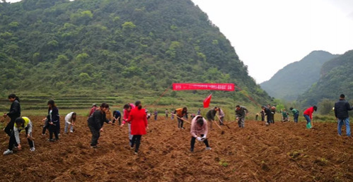 又是一年“三八”妇女节，我们是这样庆祝的 - 靖西市·靖西网