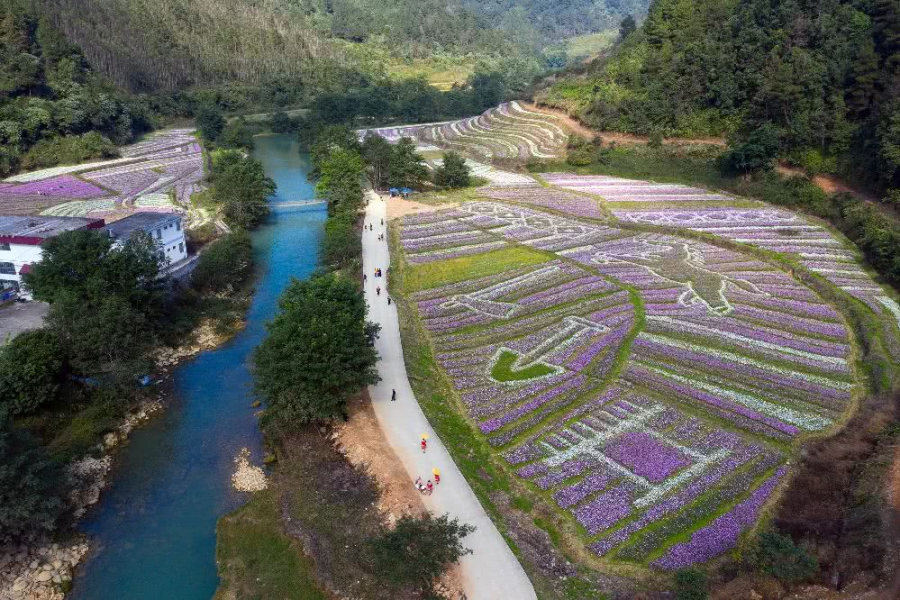 这个好地方，靖西人发现了嘛？ - 靖西市·靖西网