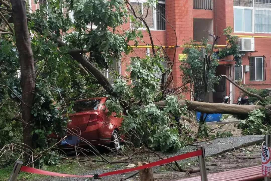 百色昨日遭受狂风肆虐，雷雨冰雹、还在后头，挺住！ - 靖西市·靖西网