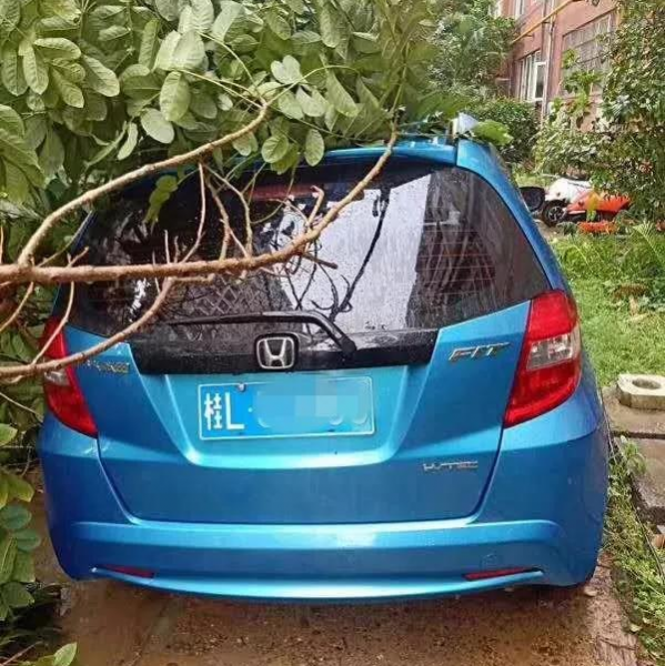 百色昨日遭受狂风肆虐，雷雨冰雹、还在后头，挺住！ - 靖西市·靖西网