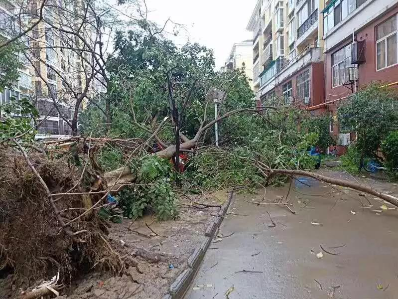 百色昨日遭受狂风肆虐，雷雨冰雹、还在后头，挺住！ - 靖西市·靖西网