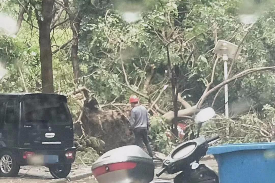 百色昨日遭受狂风肆虐，雷雨冰雹、还在后头，挺住！ - 靖西市·靖西网