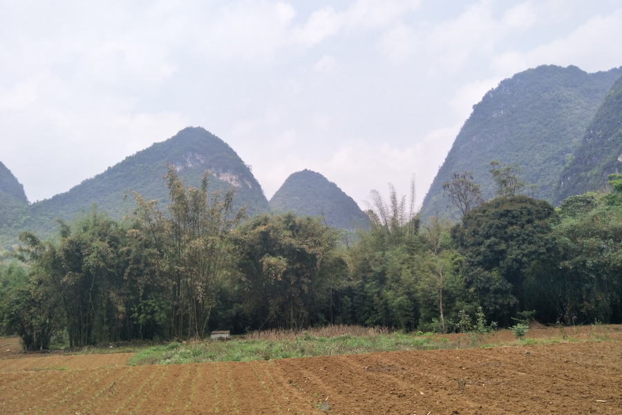 扫墓，踏青，累并快乐着 - 靖西市·靖西网