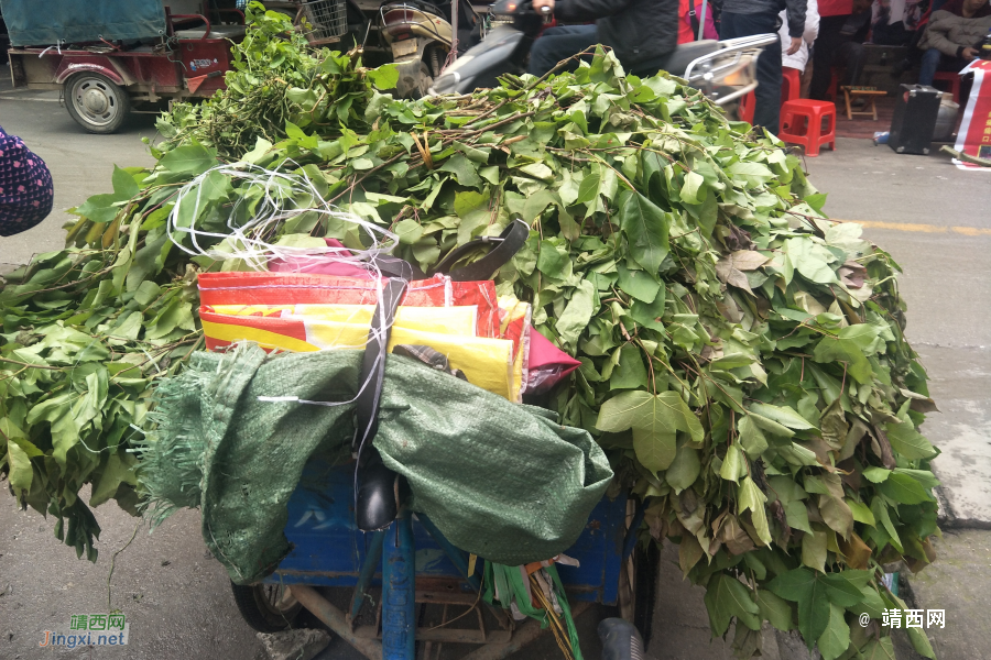 又是一年三月三之植物染料 - 靖西市·靖西网