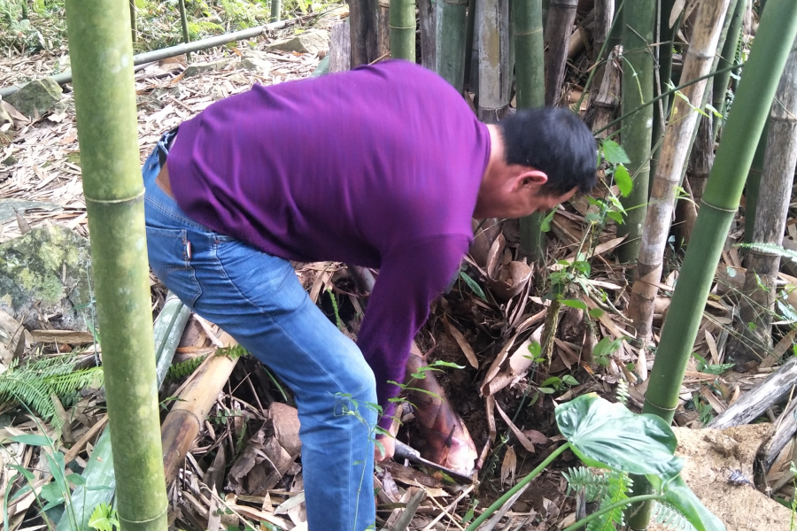 小心!这里有狼 - 靖西市·靖西网