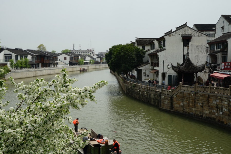 秀丽的江南水乡苏州 - 靖西市·靖西网