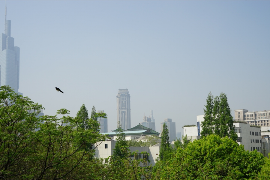 古都南京玄武湖风光 - 靖西市·靖西网