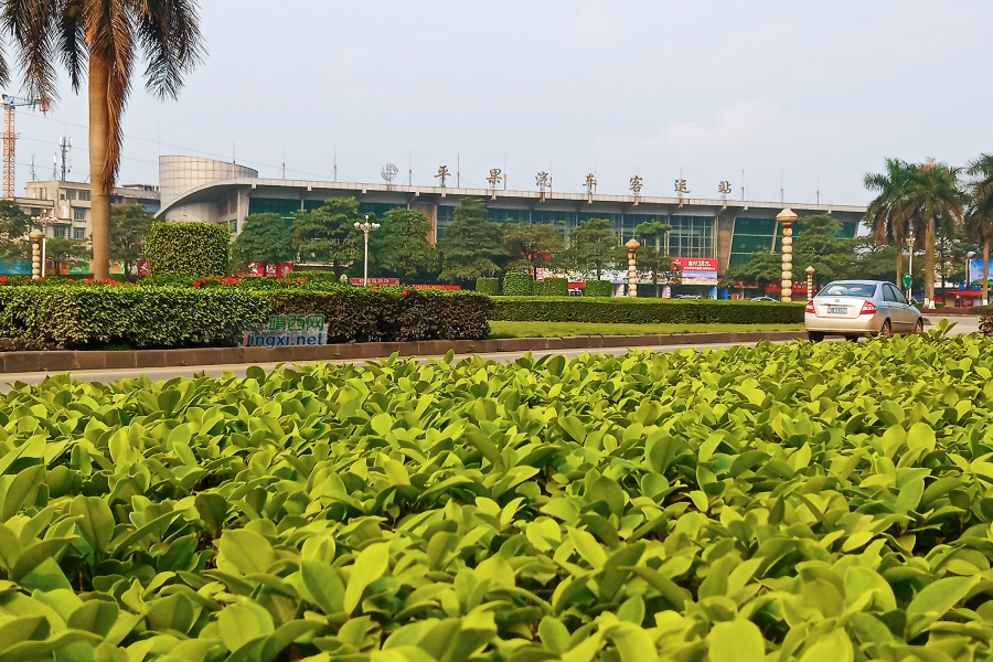 靖西市长途汽车站外迁 - 靖西市·靖西网