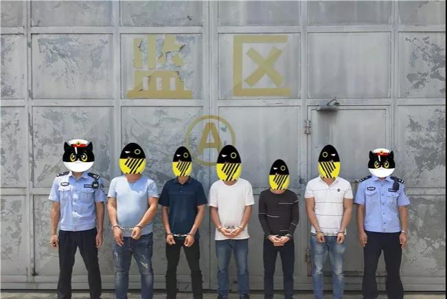 5人被刑拘！靖西一边境涉恶团伙终伏法 - 靖西市·靖西网