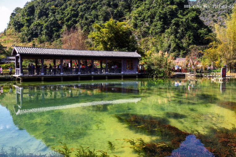 修整过的鹅泉 ，美不美？看图说了算········· - 靖西市·靖西网