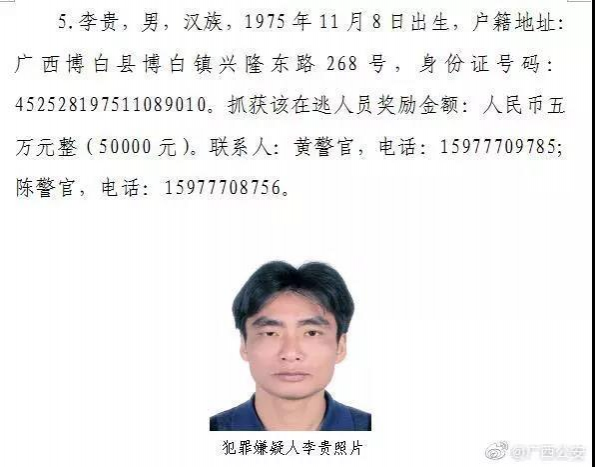 奖金总额50万！广西公安厅公开悬赏8名涉嫌重大涉黑涉恶犯罪在逃人员 - 靖西市·靖西网