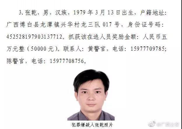 奖金总额50万！广西公安厅公开悬赏8名涉嫌重大涉黑涉恶犯罪在逃人员 - 靖西市·靖西网