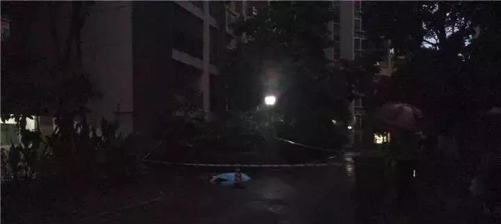 痛心！广西13岁女孩坠楼当场死亡！其母亲多次大喊：为什么给她玩手机！ - 靖西市·靖西网