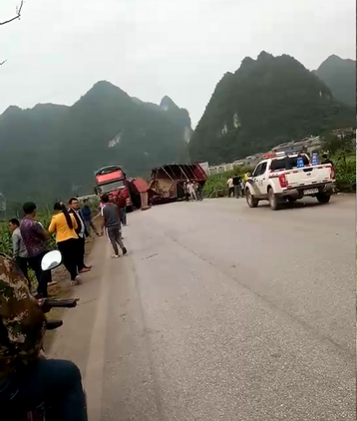 靖西往那坡方向，货车撞货车交通事故，牛伤得不轻 - 靖西市·靖西网