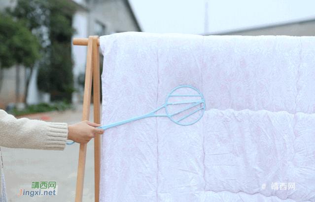 网传“瘟猪发虫进化成飞蛾，南宁要进行飞机撒药”？假的！ - 靖西市·靖西网