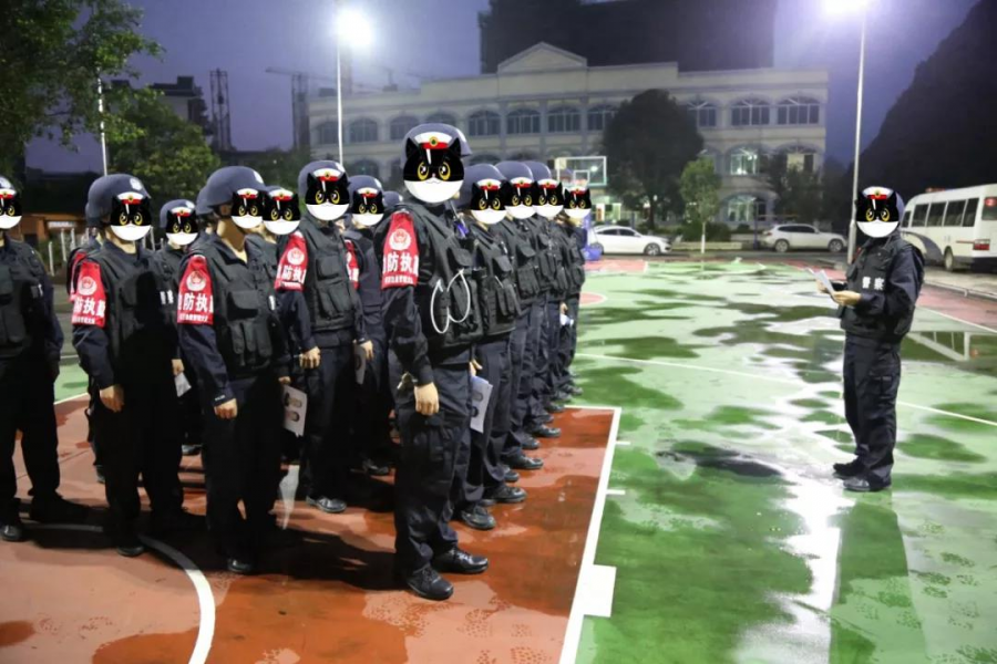 雷霆出击 在靖西边境违法的人栽了！“粉仔”“路霸”连“窝”端 - 靖西市·靖西网