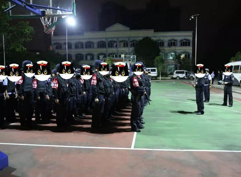 雷霆出击 在靖西边境违法的人栽了！“粉仔”“路霸”连“窝”端 - 靖西市·靖西网