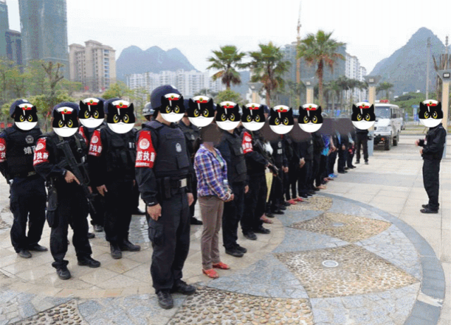 雷霆出击 在靖西边境违法的人栽了！“粉仔”“路霸”连“窝”端 - 靖西市·靖西网