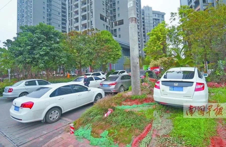 国家发话了，这类房屋或将被查封 - 靖西市·靖西网