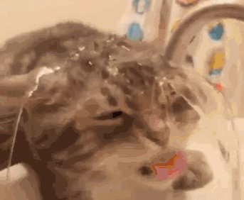 百色地表水质量全国排名14，难怪大伙皮肤水嫩！ - 靖西市·靖西网