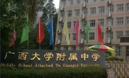粗大事了，靖西小升初应该如何选择? - 靖西市·靖西网