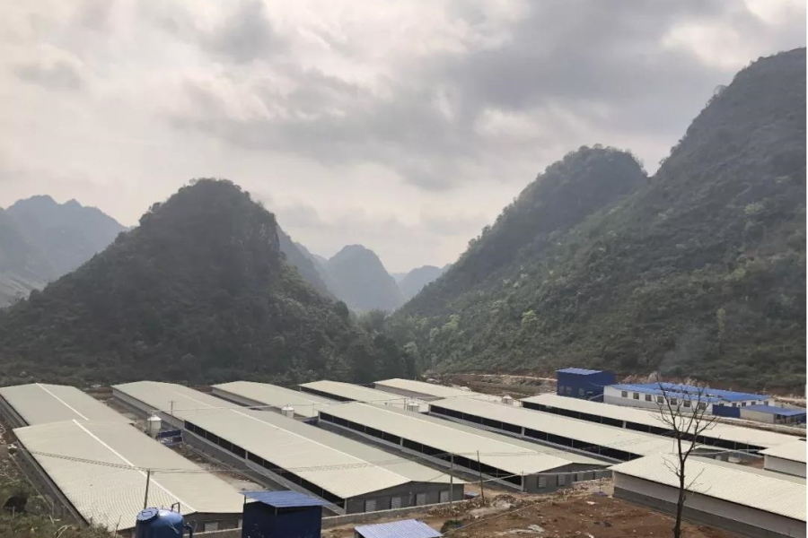 靖西：东西部协作聚焦村集体经济促发展 - 靖西市·靖西网