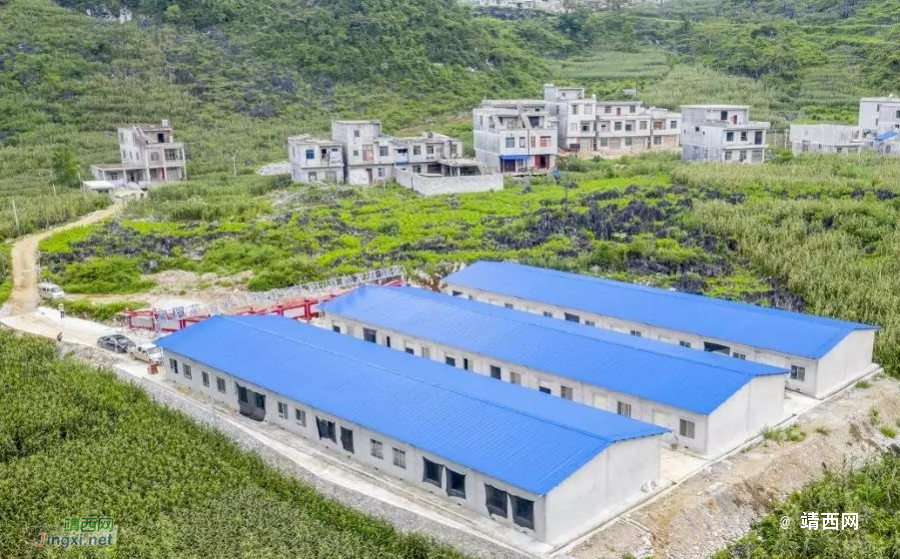 靖西：东西部协作聚焦村集体经济促发展 - 靖西市·靖西网