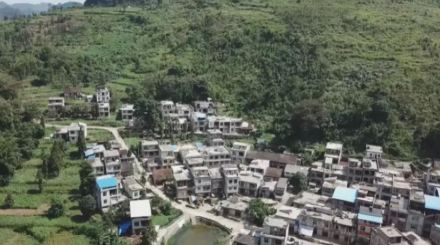 靖西：东西部协作聚焦村集体经济促发展 - 靖西市·靖西网