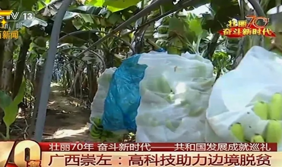 靖西南坡亮相《<共和国发展成就巡礼>广西篇》 - 靖西市·靖西网