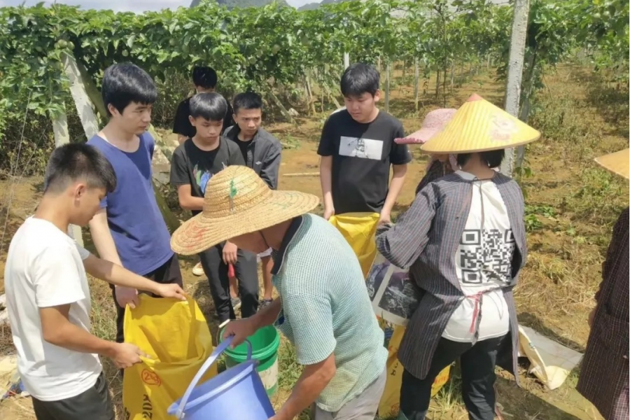 靖西市：“党旗领航，电商助农” - 靖西市·靖西网