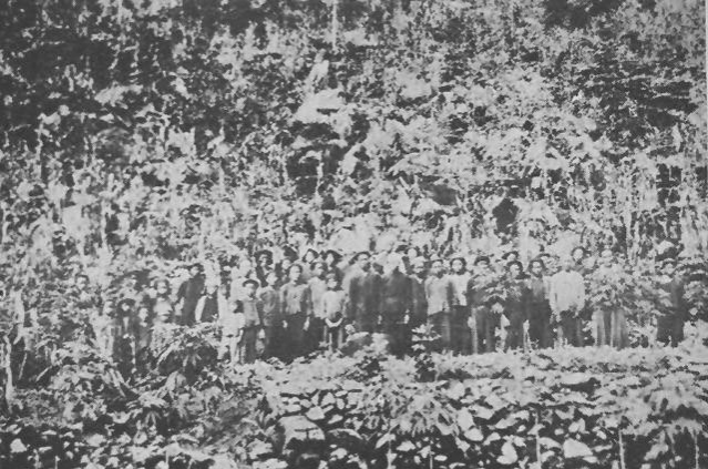 广西老照片：1920年代百色古府凌云的神秘瑶民村寨 - 靖西市·靖西网