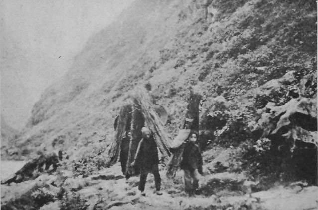 广西老照片：1920年代百色古府凌云的神秘瑶民村寨 - 靖西市·靖西网