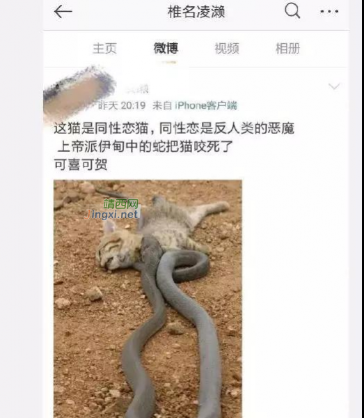 网称“百色市田阳籍一男子有虐猫行为且发布过激言论”系谣传 - 靖西市·靖西网