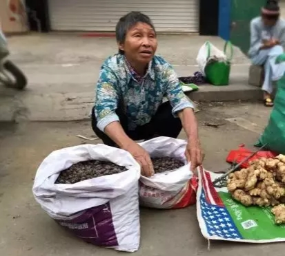 靖西野果季，这种如今身价暴涨！你多久没吃了？ - 靖西市·靖西网