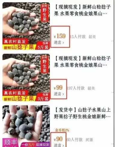 靖西野果季，这种如今身价暴涨！你多久没吃了？ - 靖西市·靖西网