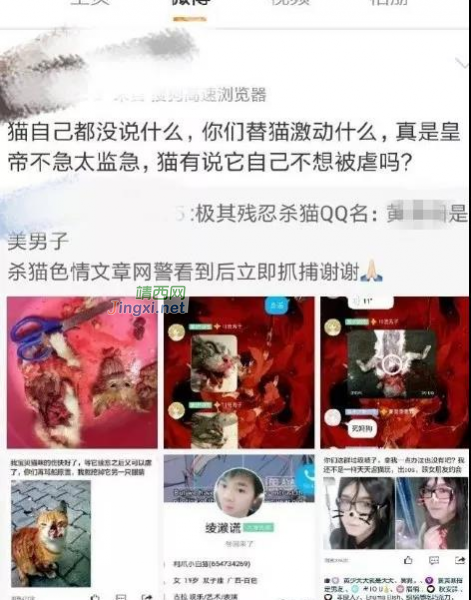 网称“百色市田阳籍一男子有虐猫行为且发布过激言论”系谣传 - 靖西市·靖西网