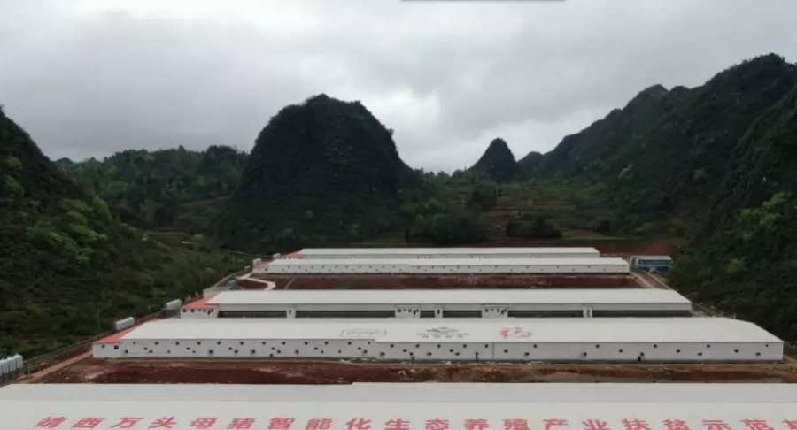 靖西市打造山区“四园”助推群众脱贫致富 - 靖西市·靖西网