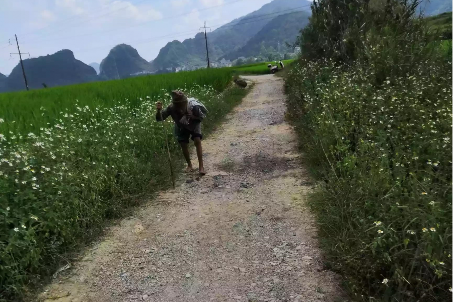 靖西乡村老人最真实的生活写照 - 靖西市·靖西网