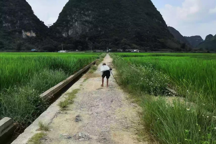 靖西乡村老人最真实的生活写照 - 靖西市·靖西网