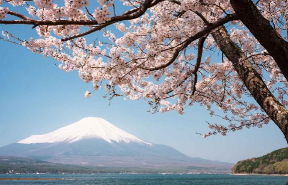 卡萨罗纵横世界之旅寻找动静中的日本之美 - 靖西市·靖西网