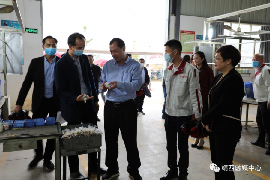 刘正东到靖西调研脱贫攻坚及复工复产工作 - 靖西市·靖西网