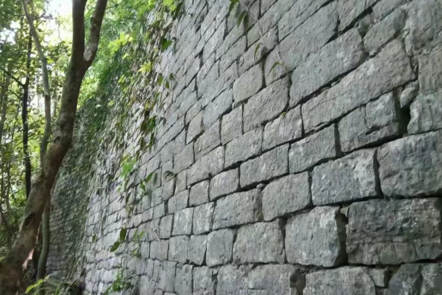 靖西市旧州古镇保护规定的解读 - 靖西市·靖西网