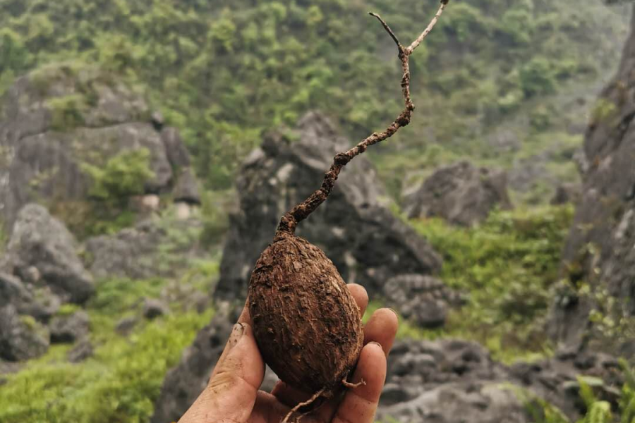 山清水秀就是金山银山 - 靖西市·靖西网