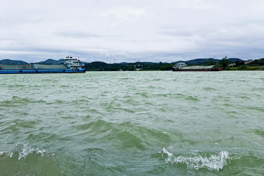 靖西版《望江亭》 - 靖西市·靖西网