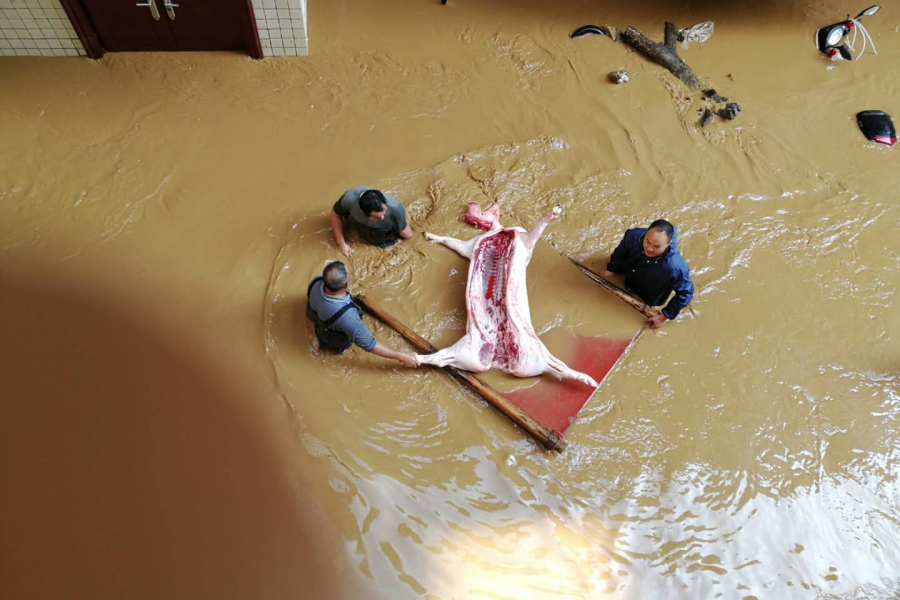 今天，那坡一夜变成海，百年一遇！刷爆朋友圈…… - 靖西市·靖西网