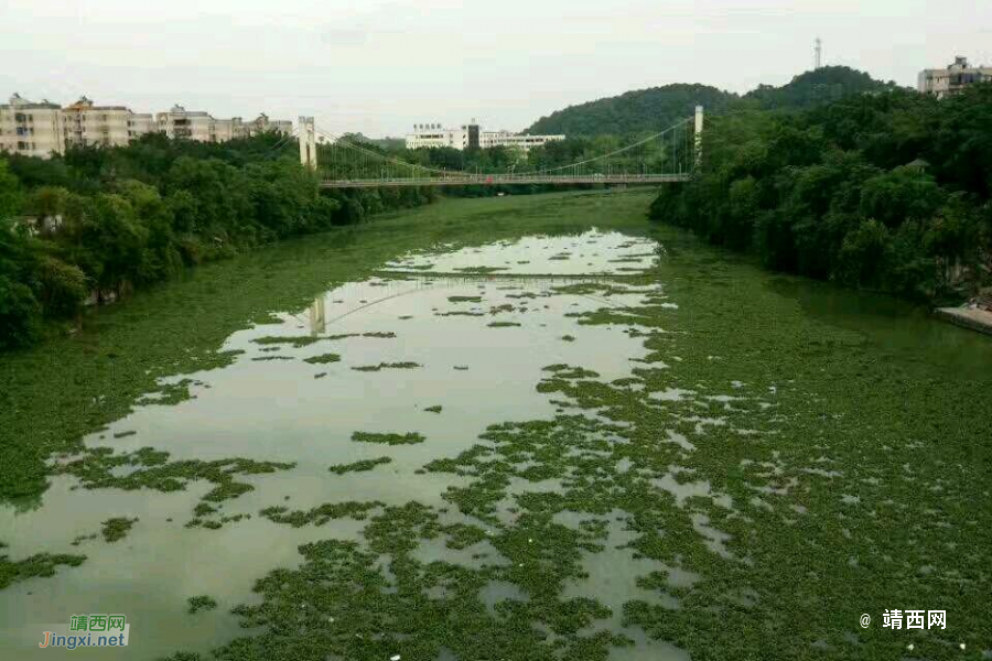 有图有真相:汛期到，三元桥往伴山江湾河边步道有涵洞要堵了，道路受淹可期 - 靖西市·靖西网