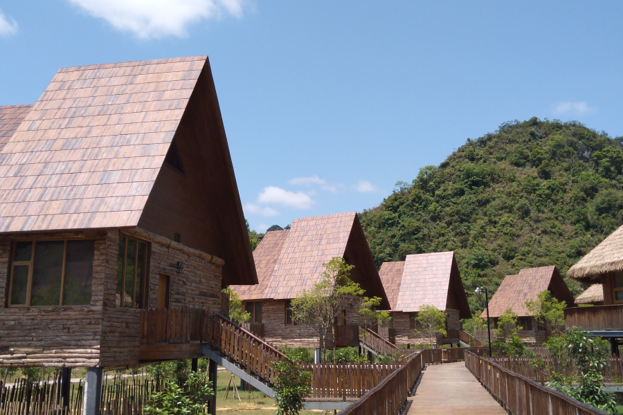 德保矮马王国 - 靖西市·靖西网