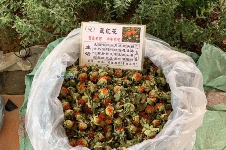 畅游端午靖西超强攻略来了，节假日不远游也可身边吃玩购 - 靖西市·靖西网